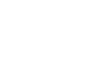 spark-logo-white